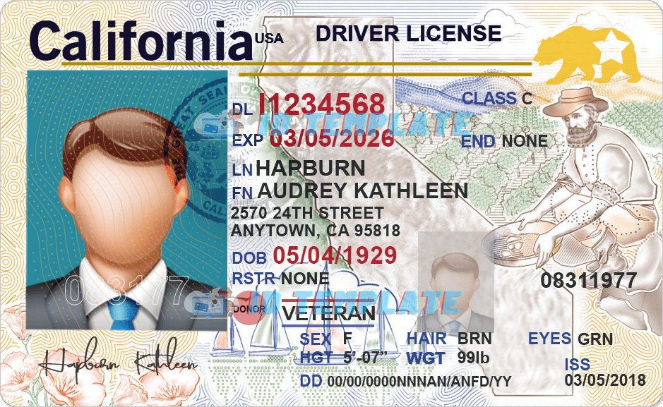 USA All States driver license PSD Template Package | Driving license