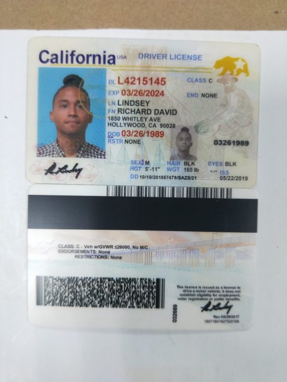 California Driving License PSD Template | Driving license Template