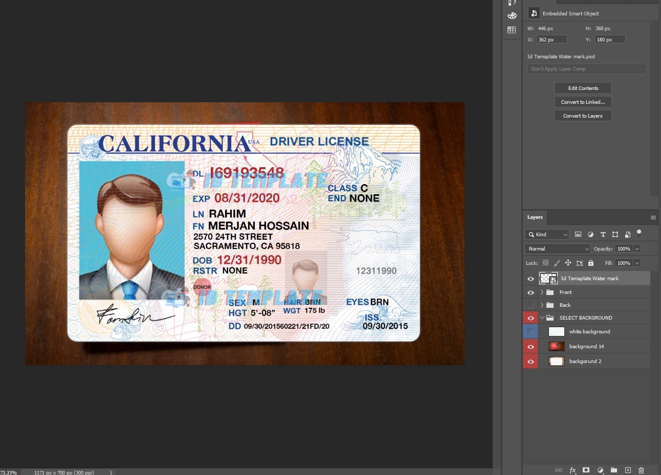 California Driving License PSD Template | Driving license Template
