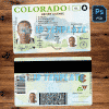 Colorado Driving license Template