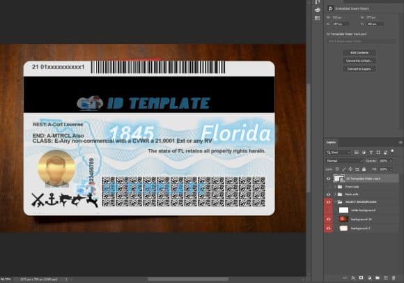 FL Driving Licence Template
