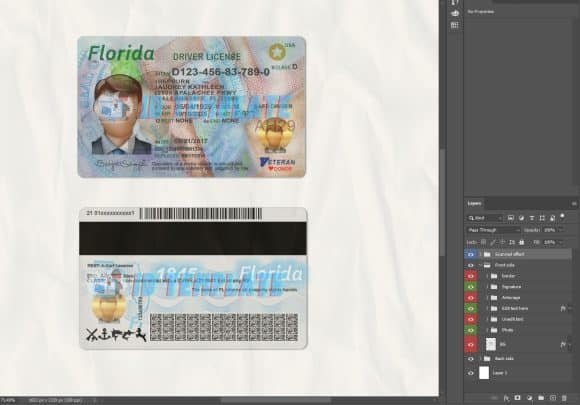 FL Driving Licence Template