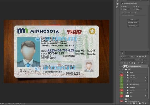 Minnesota Driving License PSD Template