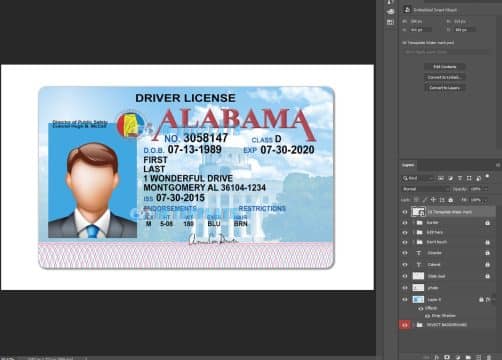 Alabama Driver license PSD Template