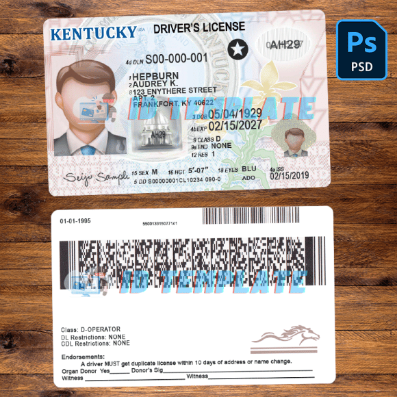 Kentucky Driving license Template