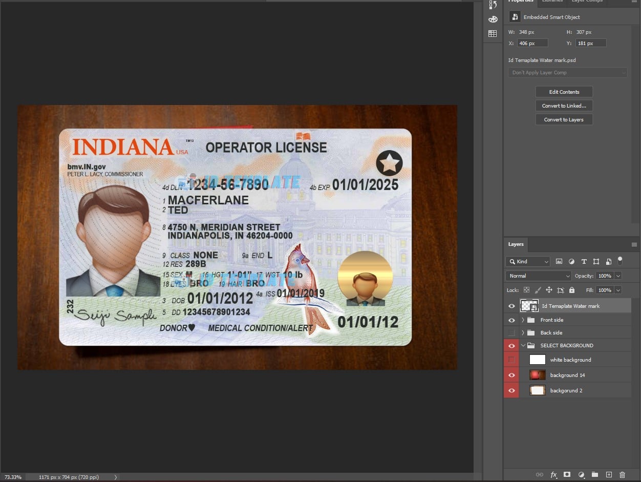 Indiana Driving license