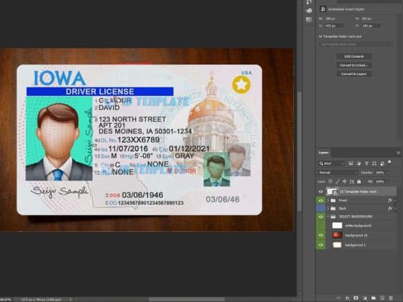 Iowa Driving license
