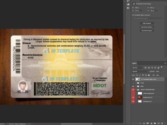 Maryland Driving license PSD Template