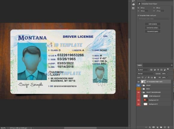 Montana Driving license PSD Template | Driving license Template