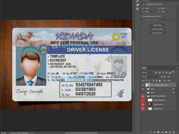 Nevada Driving license PSD Template New