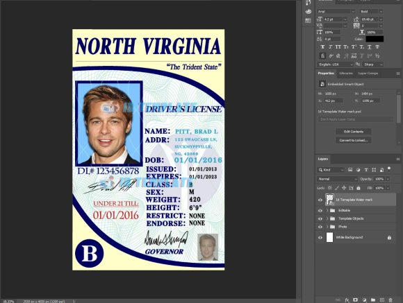 North Virginia Driving license Template