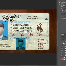 Wyoming Driving license PSD Template