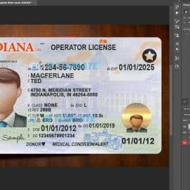 Indiana Driving license Template 2