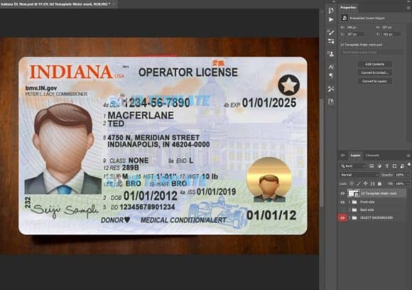 Indiana Driving license Template 2