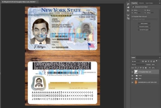 New York driving license Template New
