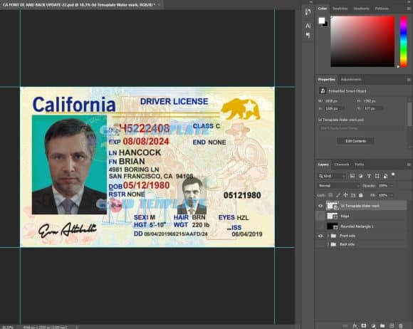California Driving License PSD Template New 1200DPI | Driving license ...