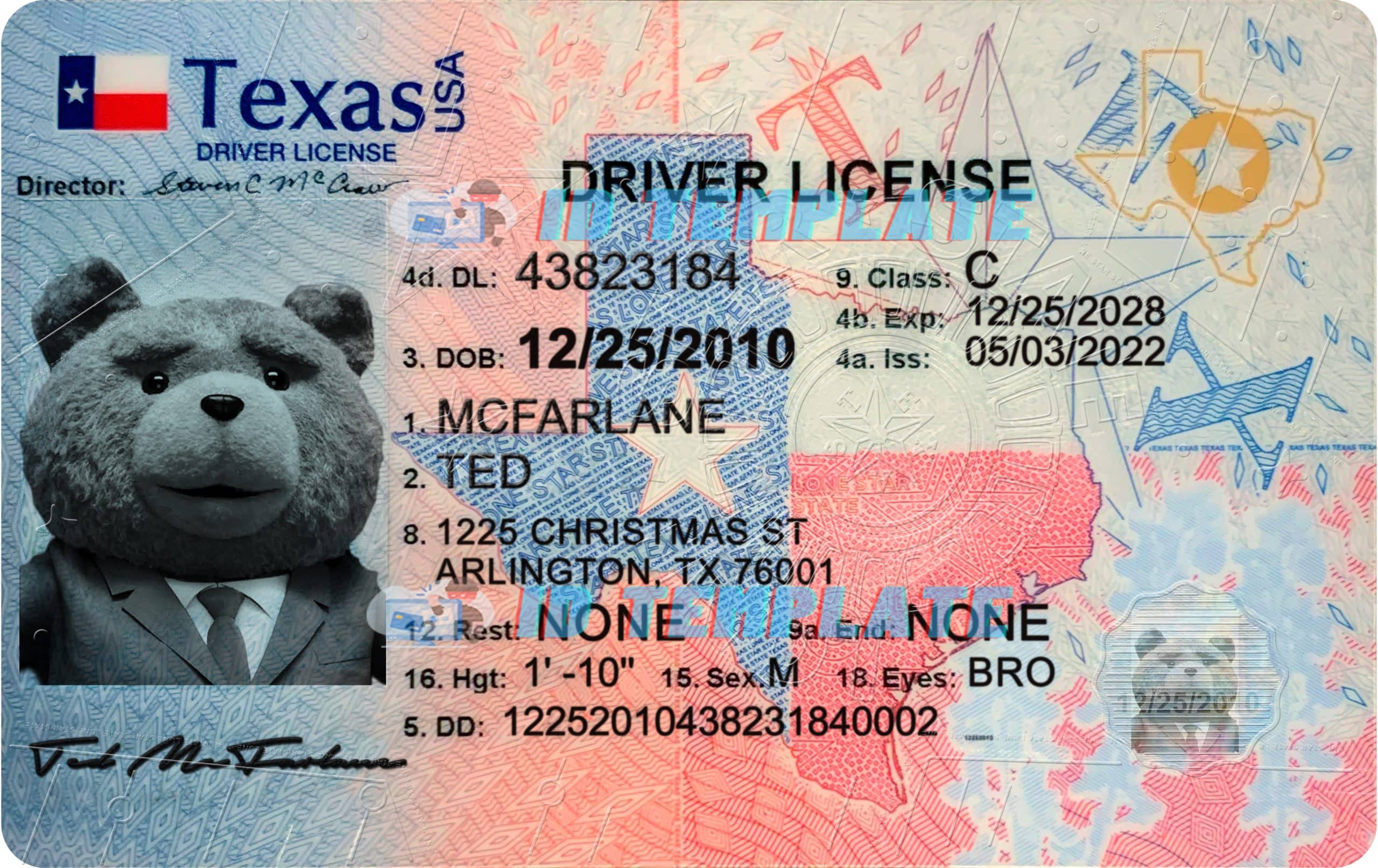 Texas Drivers License Sample