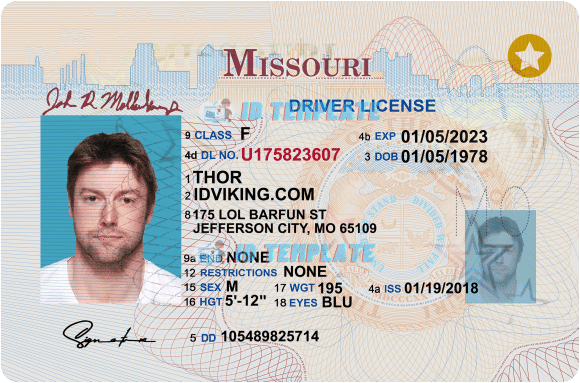 Missouri Driving license PSD Template New 1200DPI | Driving license ...