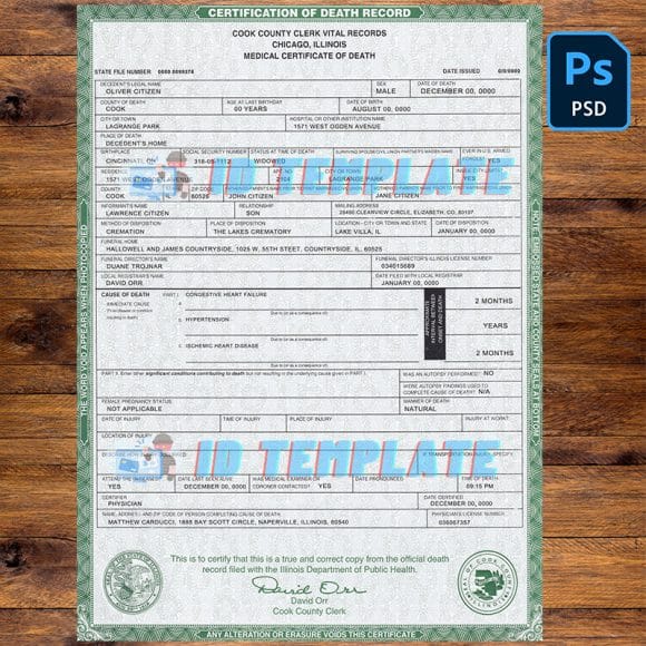 Illinois State Death Certificate