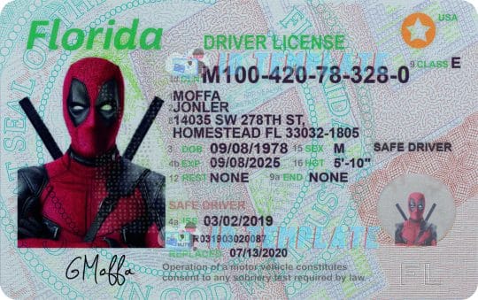 Florida Driving license Template 2