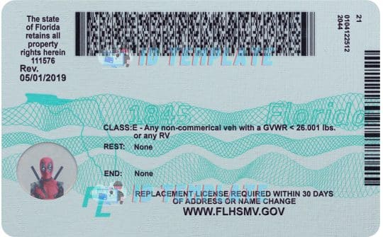 Florida Driving license Template 3