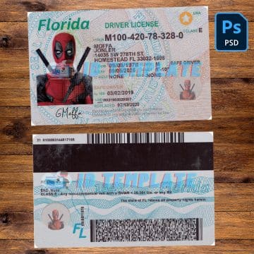 Florida Driving license Template