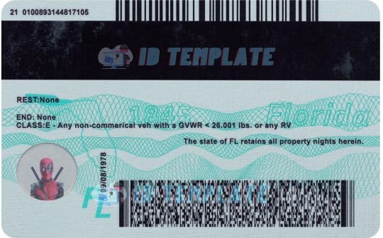 Florida Driving license Template 4