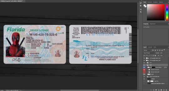 Florida Driving license Template 7
