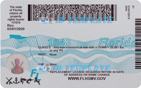 Florida Driving license Template