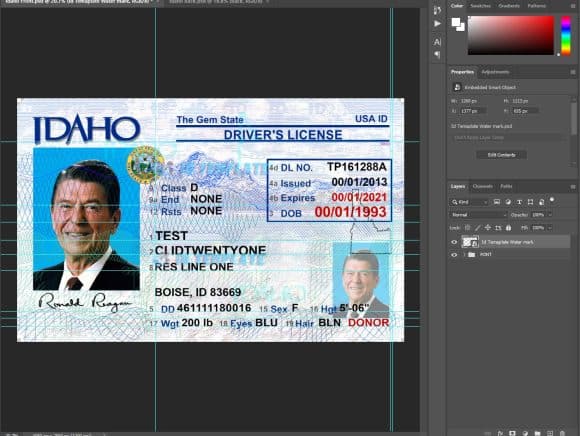 Idaho Driver license Template 3