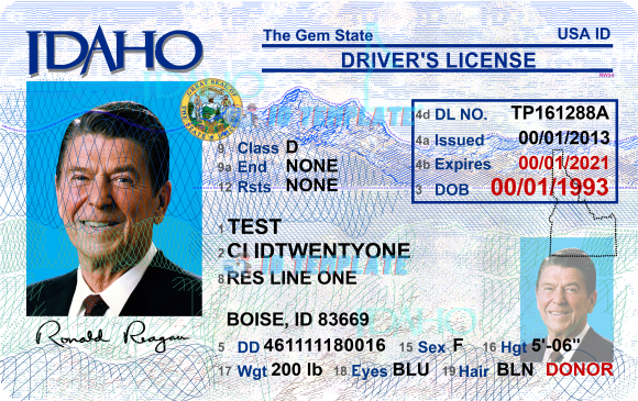 Idaho Driver license Template 6