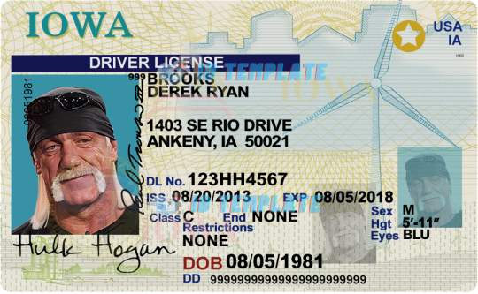 Iowa Driving license Template 6
