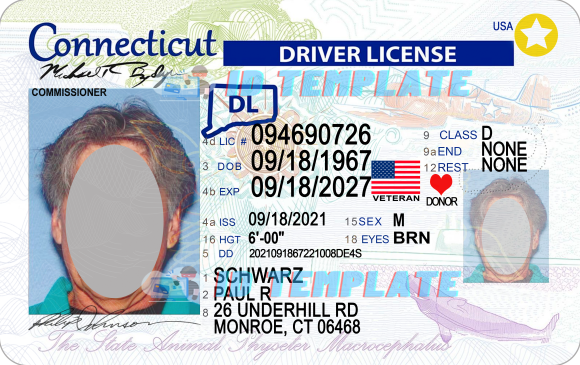Connecticut Driving license new 1