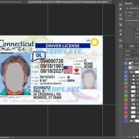 Connecticut Driving license new 6