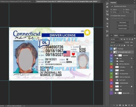 Connecticut Driving license new 6
