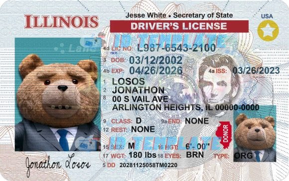 Illinois Driving license New 1