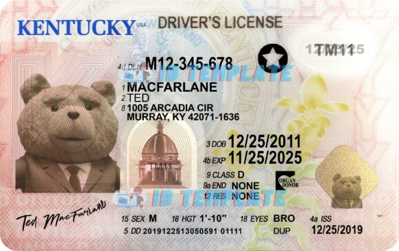 Kentucky Driving license