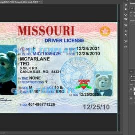 Missouri Driving license 6