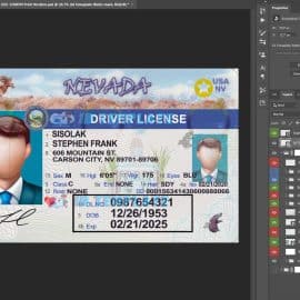 Nevada Driving license New 6