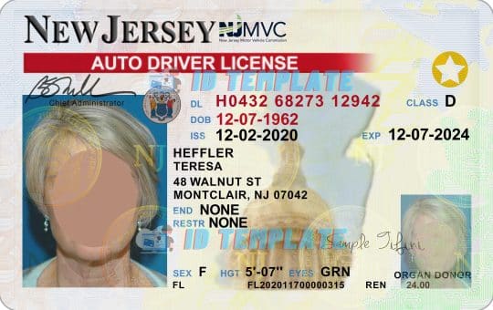 New Jersey Driving License New 3