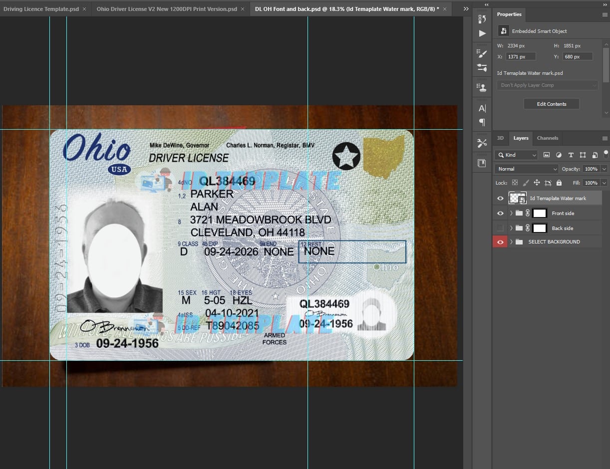Ohio Driving license PSD Template New 1200DPI | Driving license Template