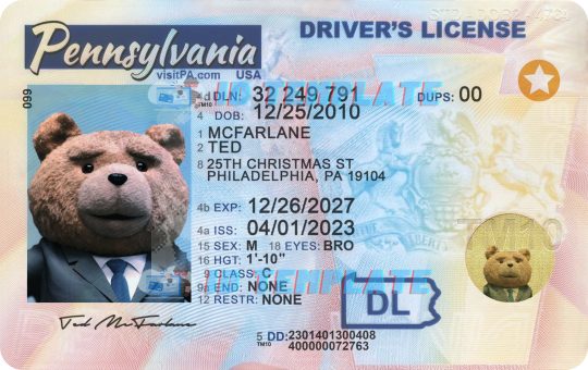 Pennsylvania Driving License New 3