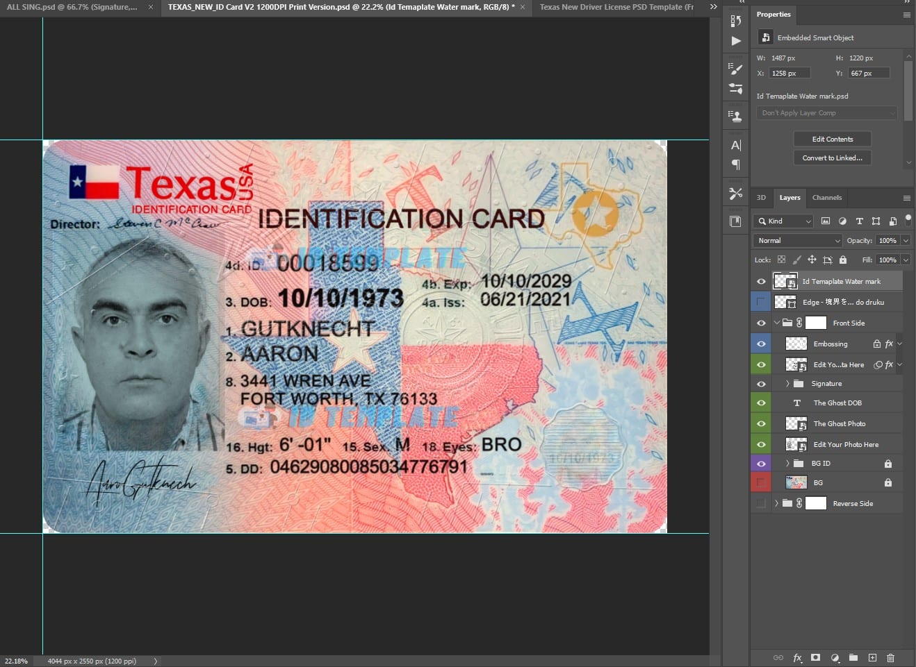 Texas ID Card New PSD Template 1200DPI | ID Card Template