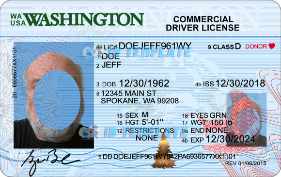 Washington Driving license 11