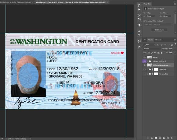Washington ID Card 6