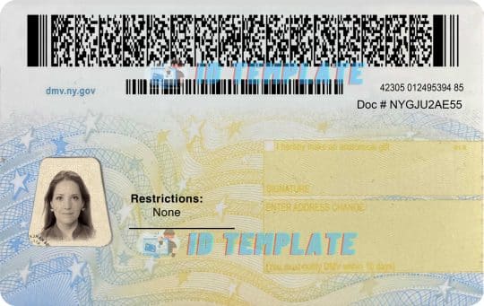 New York Driving License Template New