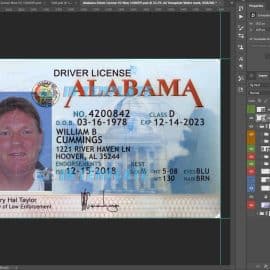 Alabama Driver license New