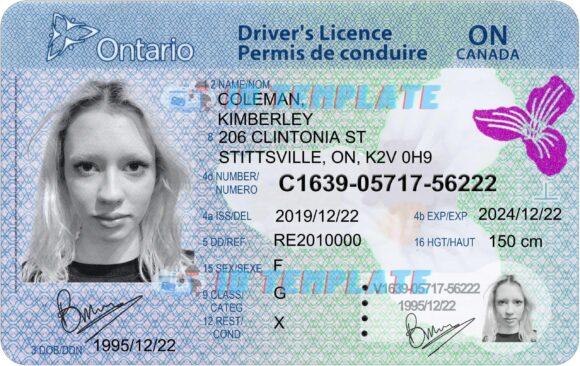 Ontario Driving license New