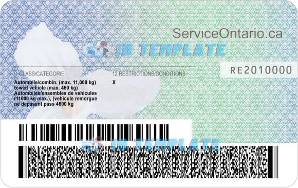 Ontario Driving license New
