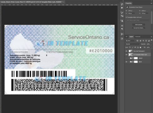 Ontario Driving license New